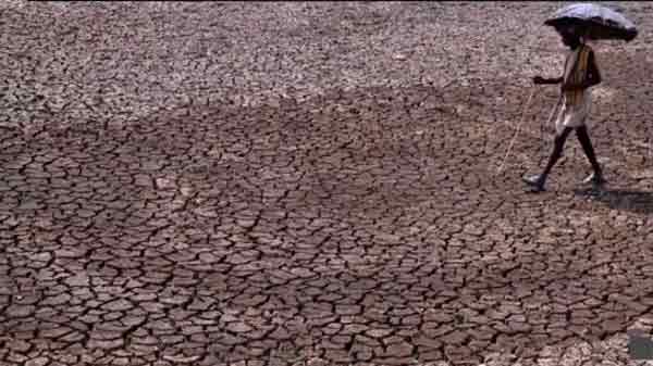 India heat wave death toll raises to 600