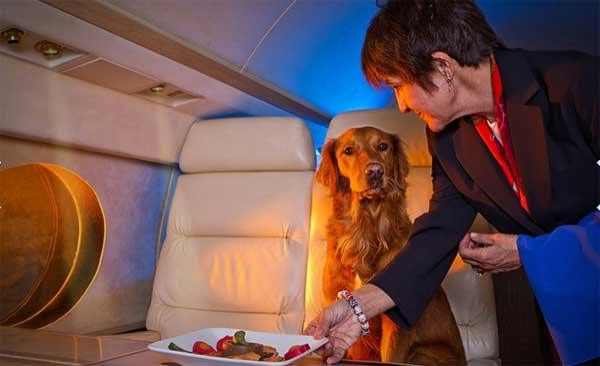 Pets on private jets