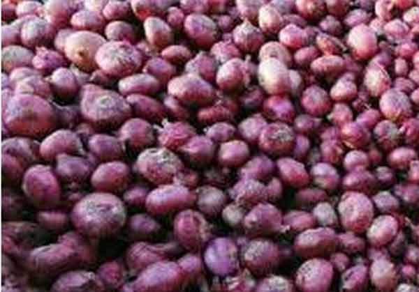 India raises minimum export price of onion by $175