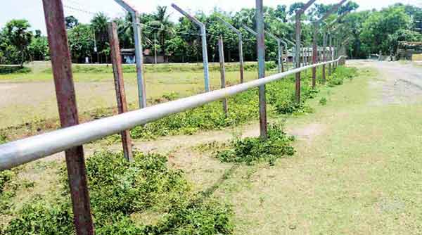 Chasing cattle keeps BSF busy on Indo-Bangla border