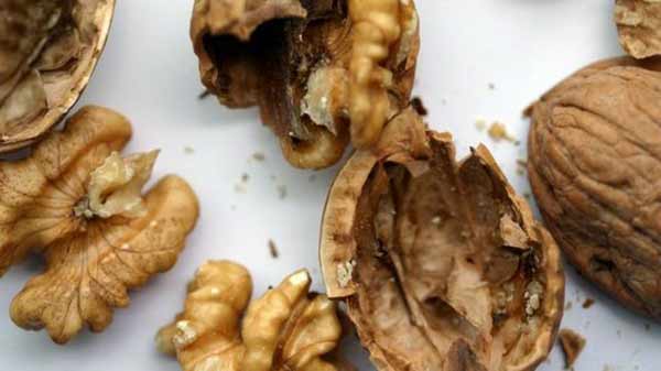 Nuts ‘protect against early death’