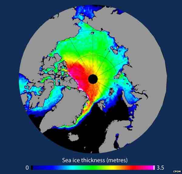 Cool summer sees Arctic ice increase