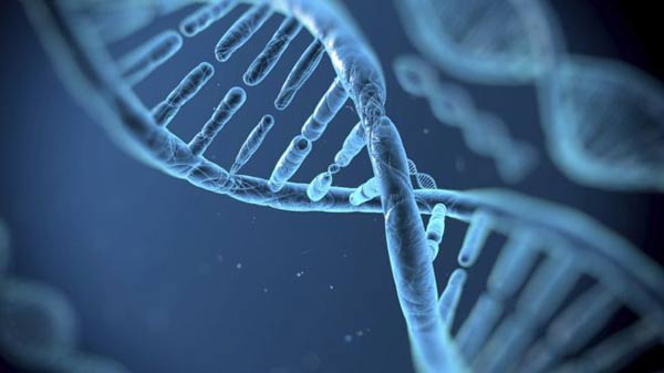 3 scientists win Nobel chemistry award for work on DNA repair