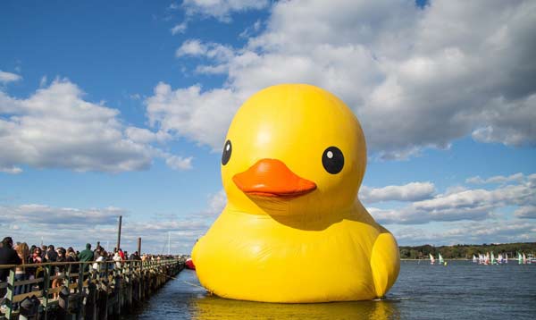 11-ton rubber duck floats to New York
