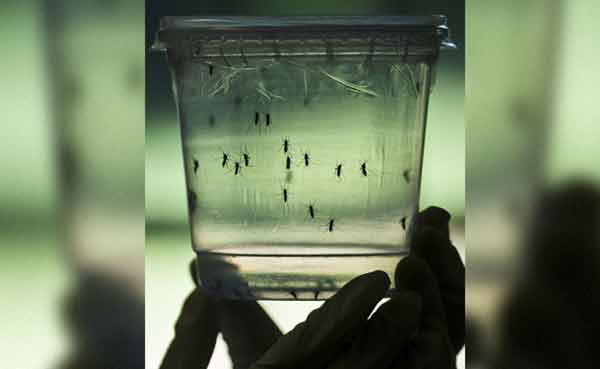 India developes world’s first Zika virus vaccine!