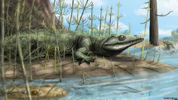 Fossil reptile discovery ‘something extraordinary’