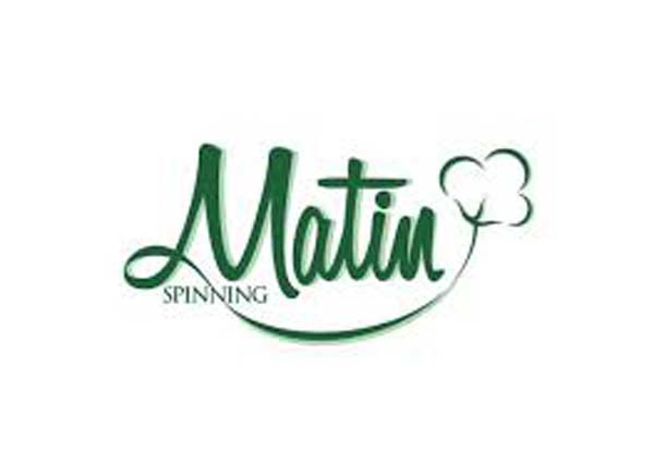 Matin Spinning face music for violating securities rules