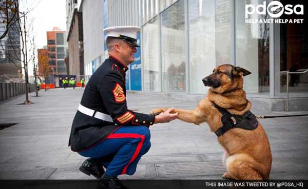 A medal for Lucca, the dog who sniffed out explosives in Afghanistan