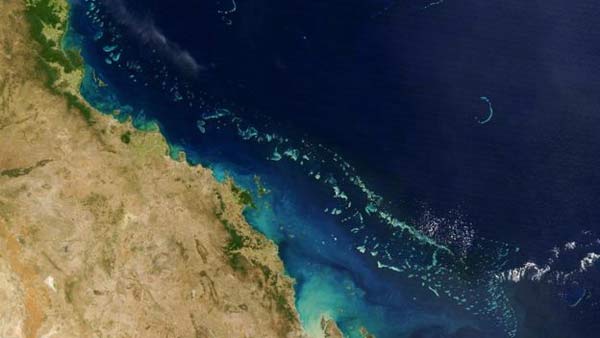 Bleaching ‘killing Great Barrier Reef’
