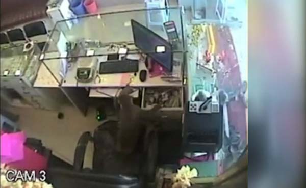 Monkey steals cash from jewellery shop in India