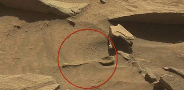 NASA may find life on Mars