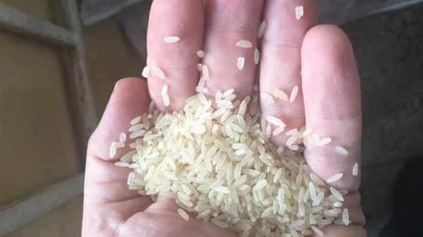 ‘Plastic rice’ seized in Nigeria