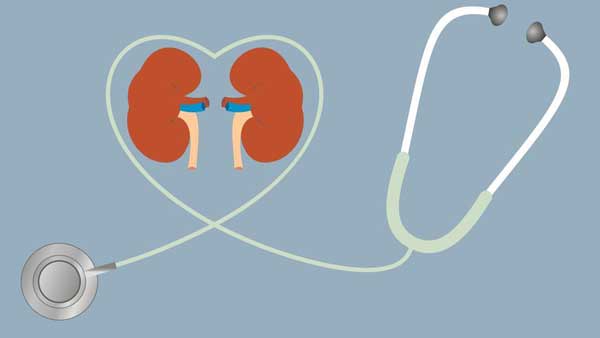 Excess phosphorous causes chronic kidney diseases