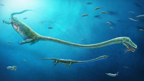 First live birth in dinosaur relative