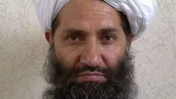 Taliban chief urges planting of trees