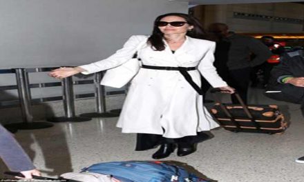 Jolie looks glamorous at LAX with her six children