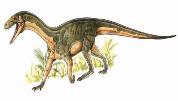 Early dinosaur relative walked like a crocodiles