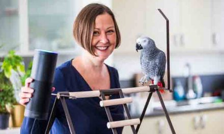 Parrot orders online gift with voice-controlled gadget