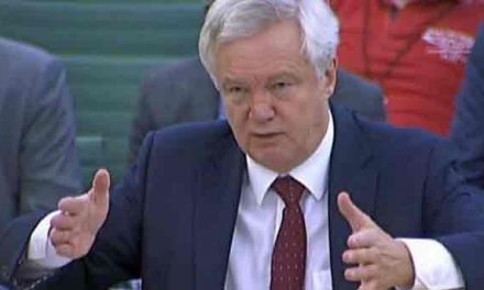 MPs may not get vote until UK has left says Davis