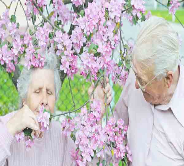 Declining sense of smell can help identify mild cognitive impairment